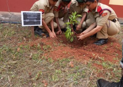 Tree Plantation Programme