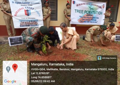 Tree Plantation Programme