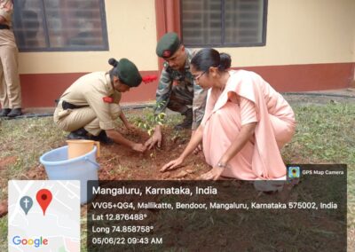 Tree Plantation Programme