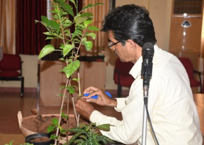 Workshop on Terrace Gardening