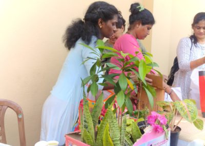 Workshop on Terrace Gardening