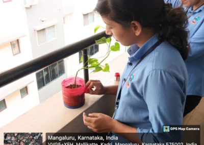 Bottle Gardening