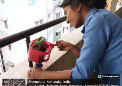 Bottle Gardening