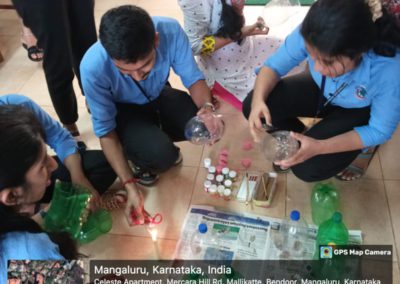 Bottle Gardening