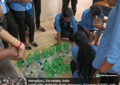 Bottle Gardening