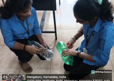 Bottle Gardening