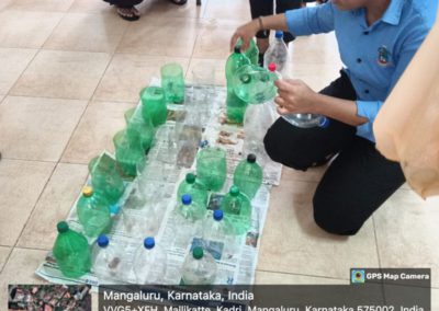 Bottle Gardening