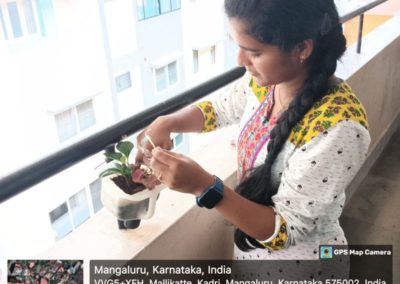 Bottle Gardening